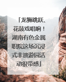龙狮跳跃、花鼓戏唱响！湖南有色金属职院这场沉浸式非遗游园活动很带感