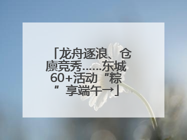 龙舟逐浪、仓廪竞秀……东城60+活动“粽”享端午→