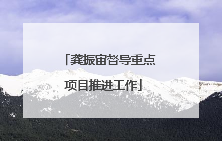 龚振宙督导重点项目推进工作