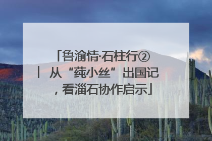 鲁渝情·石柱行② ︳从“莼小丝”出国记，看淄石协作启示