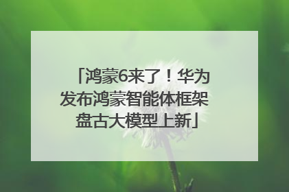 鸿蒙6来了！华为发布鸿蒙智能体框架 盘古大模型上新