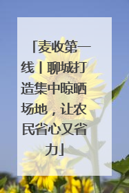 麦收第一线丨聊城打造集中晾晒场地，让农民省心又省力