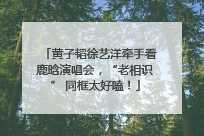 黄子韬徐艺洋牵手看鹿晗演唱会，“老相识” 同框太好嗑！