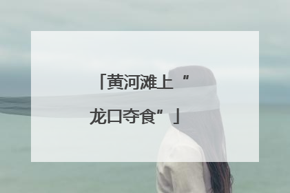 黄河滩上“龙口夺食”