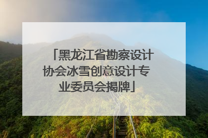 黑龙江省勘察设计协会冰雪创意设计专业委员会揭牌