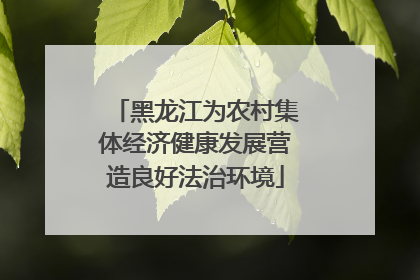 黑龙江为农村集体经济健康发展营造良好法治环境