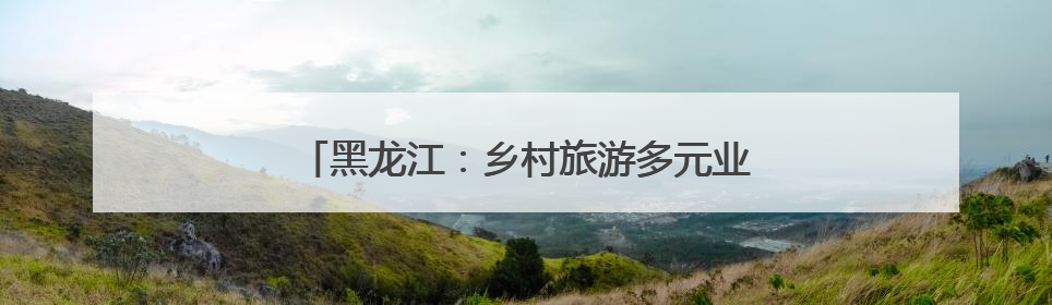 黑龙江：乡村旅游多元业态解锁田园生活新魅力