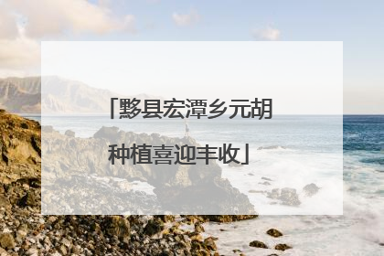 黟县宏潭乡元胡种植喜迎丰收