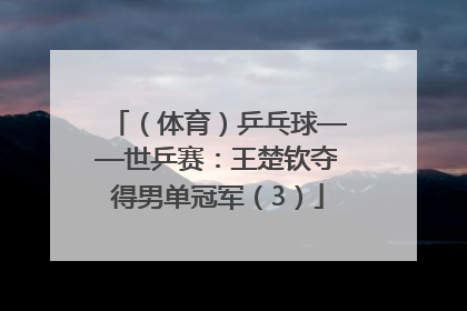 （体育）乒乓球——世乒赛：王楚钦夺得男单冠军（3）