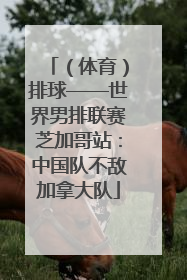 （体育）排球——世界男排联赛芝加哥站：中国队不敌加拿大队