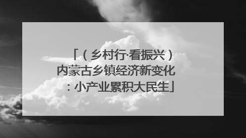 （乡村行·看振兴）内蒙古乡镇经济新变化：小产业累积大民生