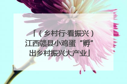 （乡村行·看振兴）江西赣县小鸡蛋“孵”出乡村振兴大产业