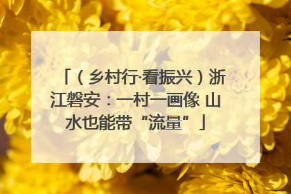 （乡村行·看振兴）浙江磐安：一村一画像 山水也能带“流量”