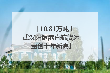 10.81万吨！武汉阳逻港直航货运量创十年新高