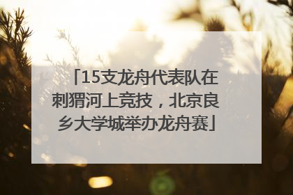 15支龙舟代表队在刺猬河上竞技，北京良乡大学城举办龙舟赛