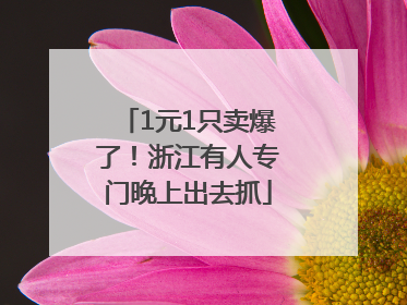 1元1只卖爆了！浙江有人专门晚上出去抓
