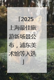 2025上海最佳旅游新场景公布，浦东美术馆等入选