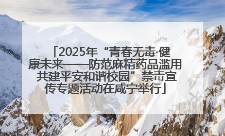 2025年“青春无毒·健康未来——防范麻精药品滥用 共建平安和谐校园”禁毒宣传专题活动在咸宁举行