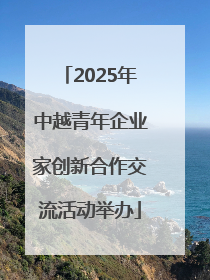 2025年中越青年企业家创新合作交流活动举办