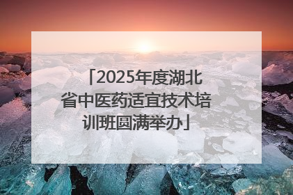 2025年度湖北省中医药适宜技术培训班圆满举办