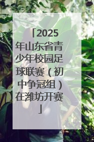 2025年山东省青少年校园足球联赛（初中争冠组）在潍坊开赛