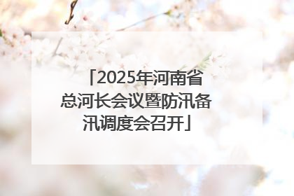 2025年河南省总河长会议暨防汛备汛调度会召开