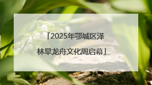 2025年鄂城区泽林旱龙舟文化周启幕