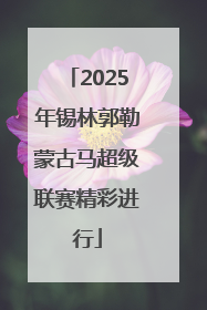 2025年锡林郭勒蒙古马超级联赛精彩进行
