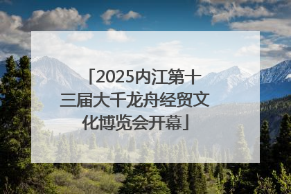 2025内江第十三届大千龙舟经贸文化博览会开幕