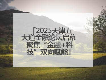 2025天津五大道金融论坛启幕 聚焦“金融+科技”双向赋能