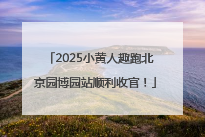 2025小黄人趣跑北京园博园站顺利收官！