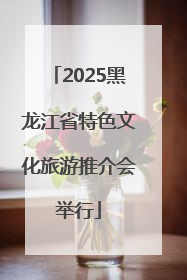 2025黑龙江省特色文化旅游推介会举行