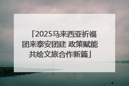 2025马来西亚祈福团来泰安团建 政策赋能共绘文旅合作新篇
