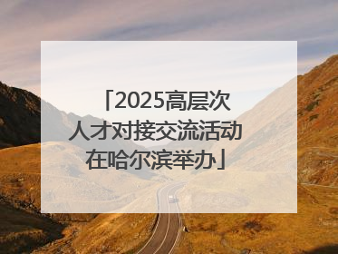 2025高层次人才对接交流活动在哈尔滨举办