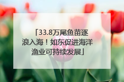 33.8万尾鱼苗逐浪入海！如东促进海洋渔业可持续发展