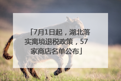 7月1日起，湖北落实离境退税政策，57家商店名单公布