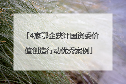 4家鄂企获评国资委价值创造行动优秀案例