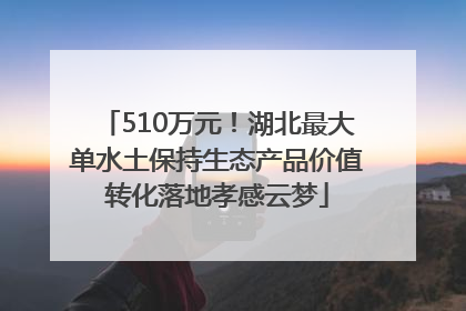 510万元！湖北最大单水土保持生态产品价值转化落地孝感云梦