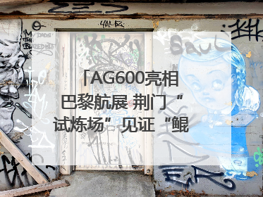 AG600亮相巴黎航展 荆门“试炼场”见证“鲲龙”腾飞