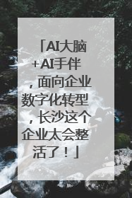 AI大脑+AI手伴，面向企业数字化转型，长沙这个企业太会整活了！